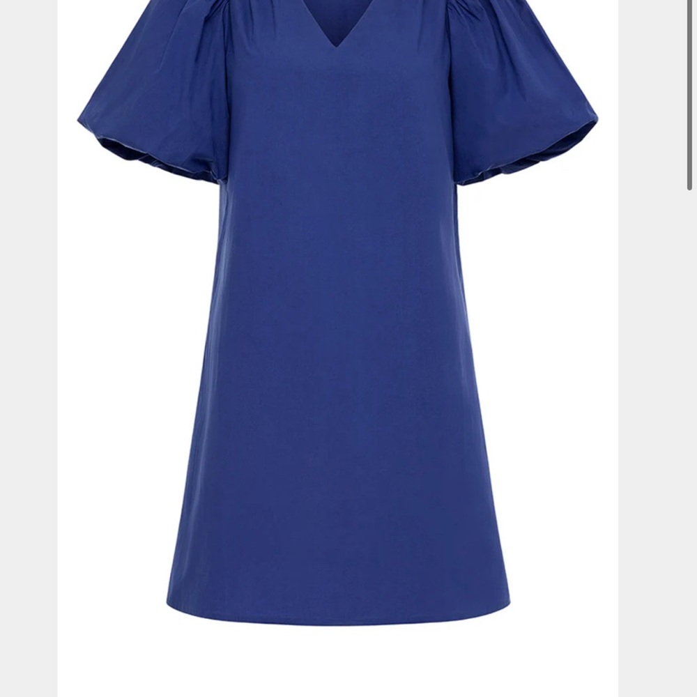 Chic Blue Puff Sleeve Mini Dress Anna Cate